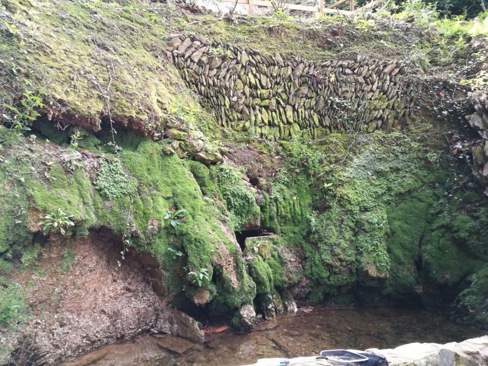 The Well House